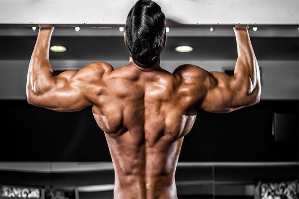 Articles Image Why you will buy steroids for muscle growth?